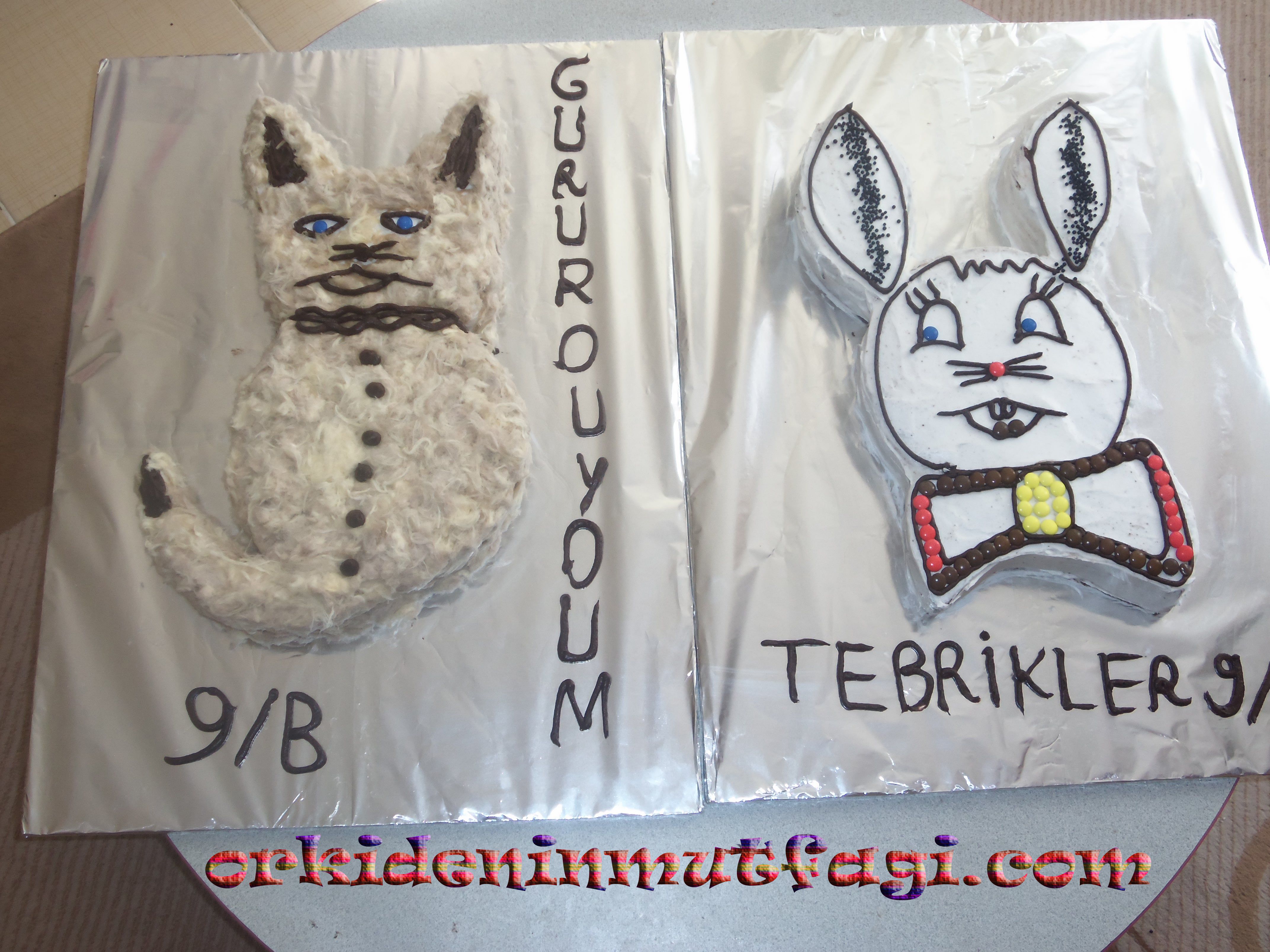 KEDİ PASTA TARİFİ2