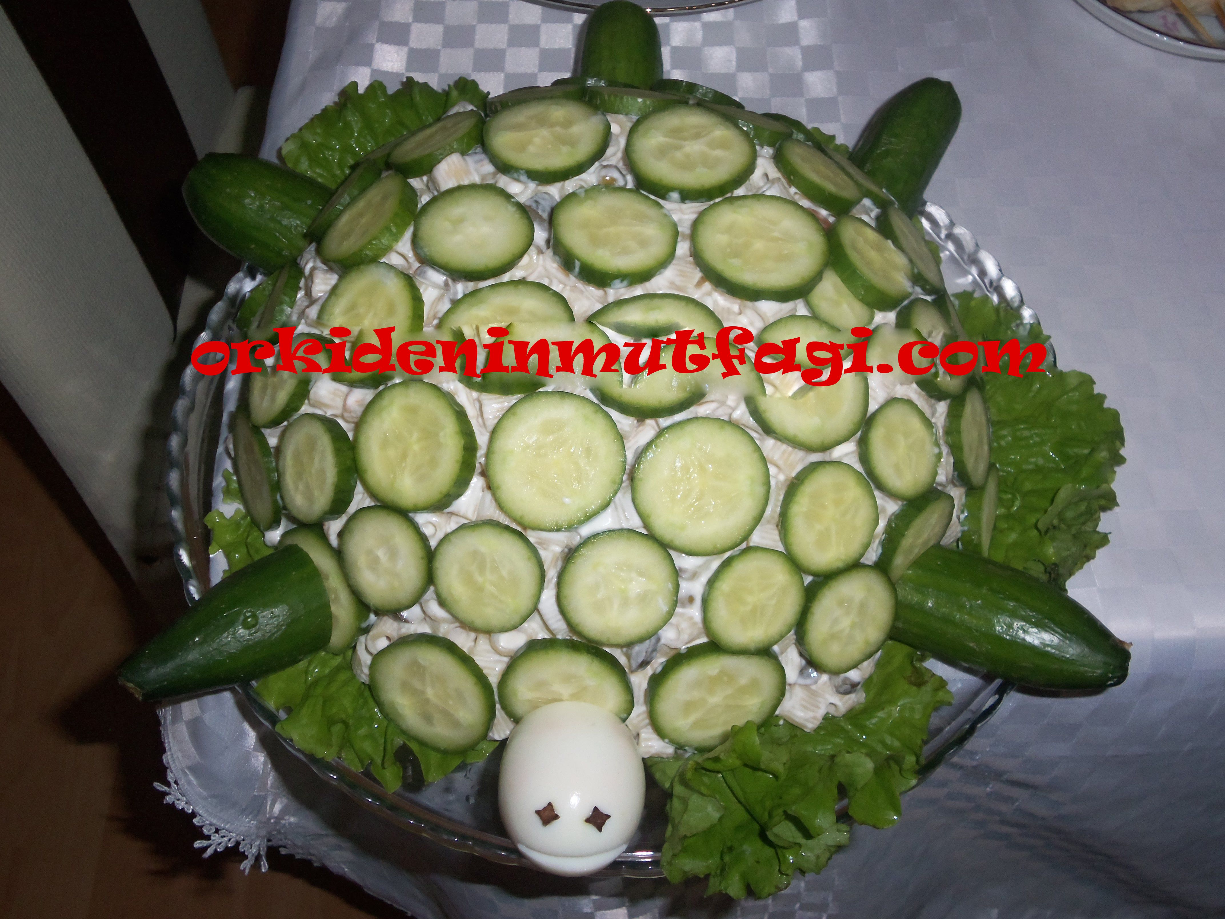 makarna salatasından kaplumbağa